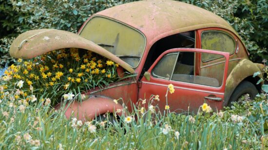 A forgotten car nestled among vibrant flowers, a surreal blend of nature and machine. Silent witness to the passage of time, it rests, an unexpected beauty in the embrace of nature's colors.